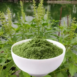 Tulshi Powder